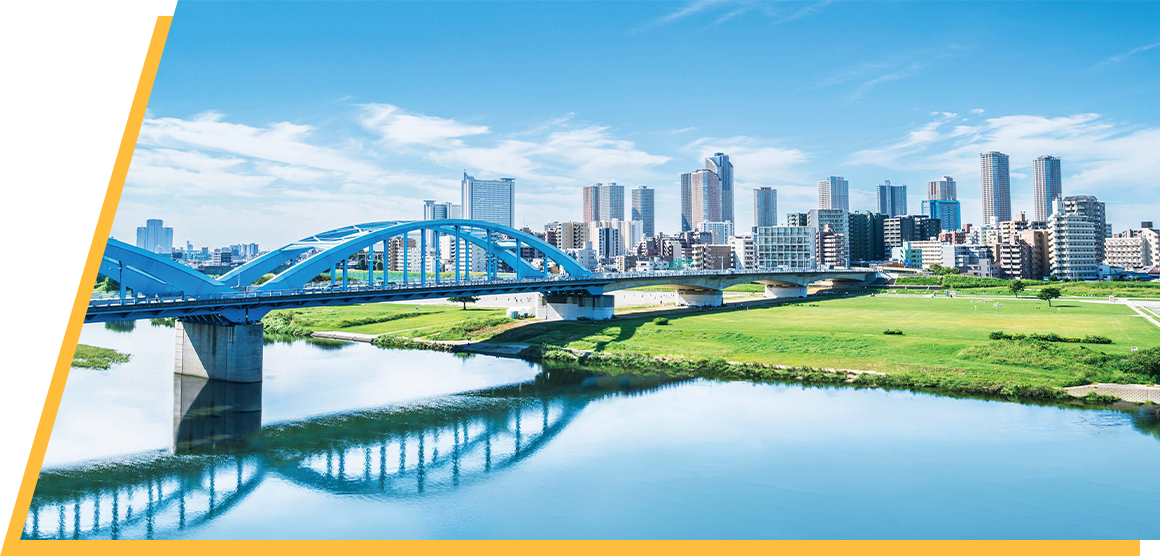 Decarbonization and Electrification